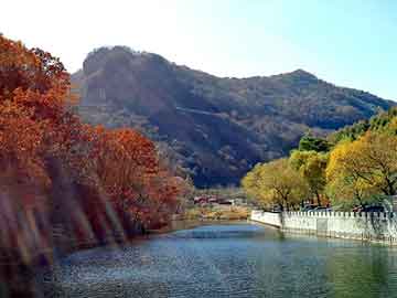 澳门天天彩期期精准平肖，岢岚seo外包